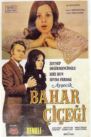 Aysecik: Bahar Çiçegi's poster