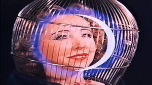 The Inauguration of the Pleasure Dome's poster