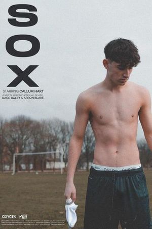 Sox's poster