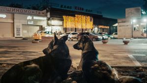 Space Dogs's poster