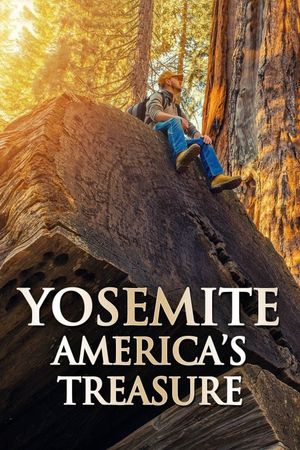 Yosemite: America's Treasure's poster