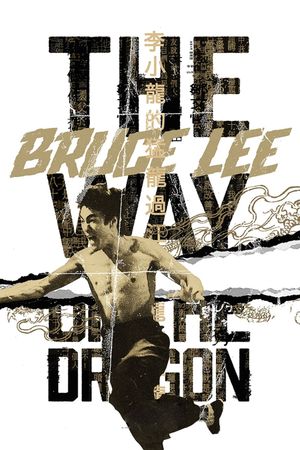 The Way of the Dragon's poster
