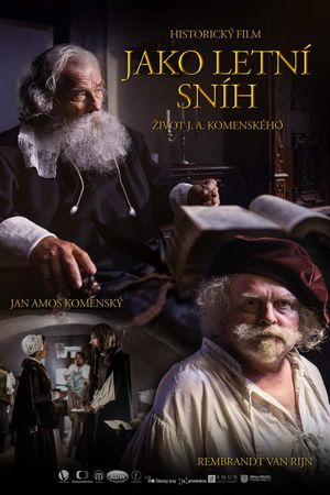 Jako letní sníh's poster