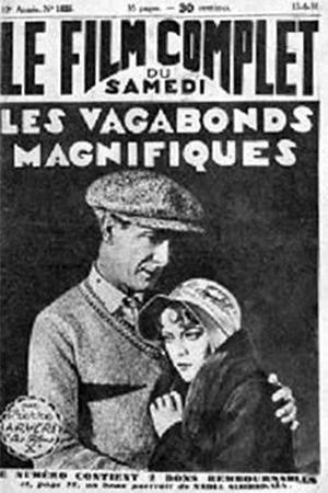Les vagabonds magnifiques's poster