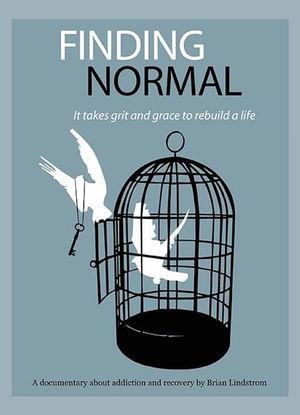 Finding Normal's poster