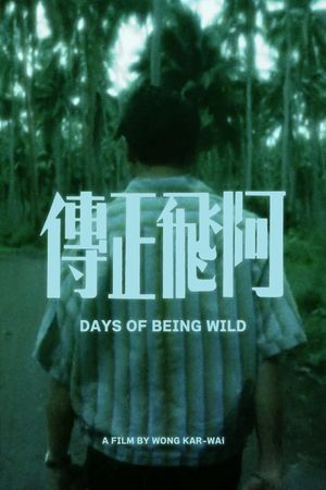 Days of Being Wild's poster