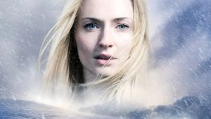 Survive's poster