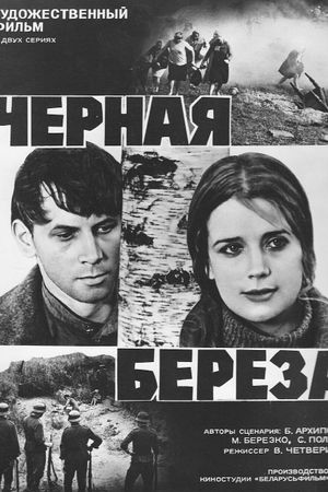 Black Birch's poster