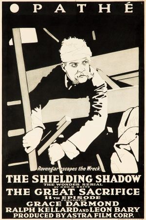 The Shielding Shadow's poster