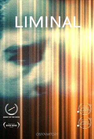 Liminal's poster