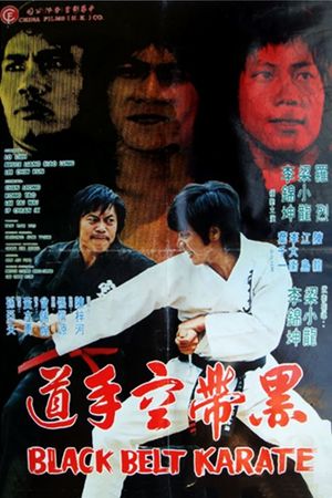 Black Belt Karate's poster image