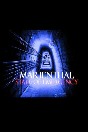 Marienthal: State of Emergency's poster