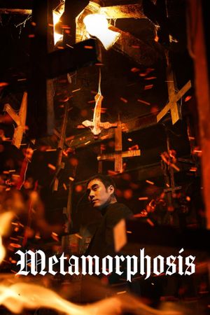 Metamorphosis's poster