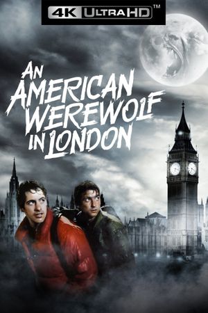 An American Werewolf in London's poster