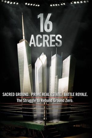 16 Acres's poster
