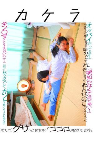 A Piece of Our Life's poster