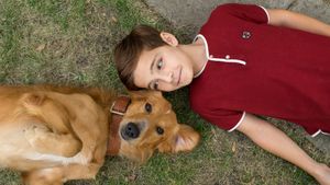 A Dog's Purpose's poster