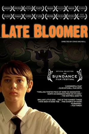 Late Bloomer's poster