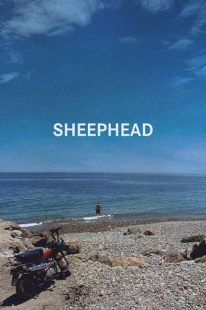 Sheephead's poster