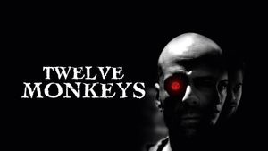12 Monkeys's poster