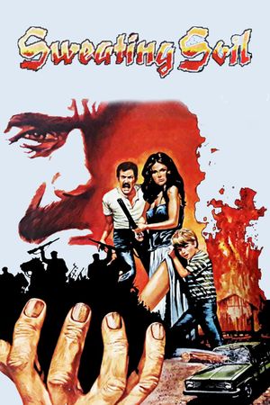 Topragin Teri's poster