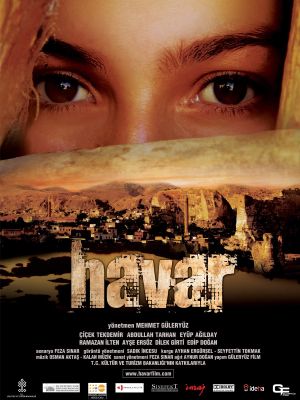 Havar's poster image