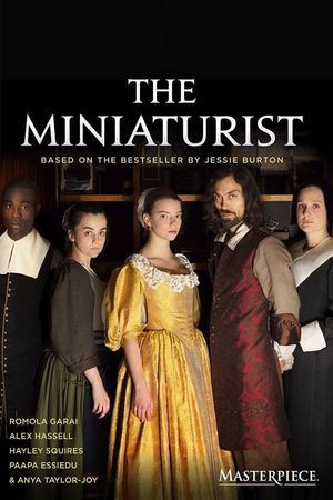 The Miniaturist's poster image
