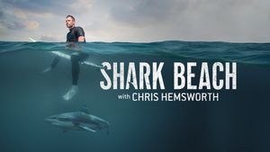 Shark Beach With Chris Hemsworth's poster