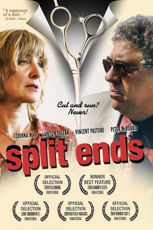 Split Ends's poster