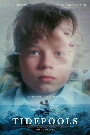 Tidepools's poster