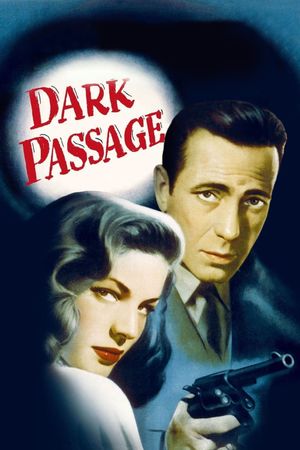 Dark Passage's poster