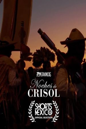 Noches de Crisol's poster