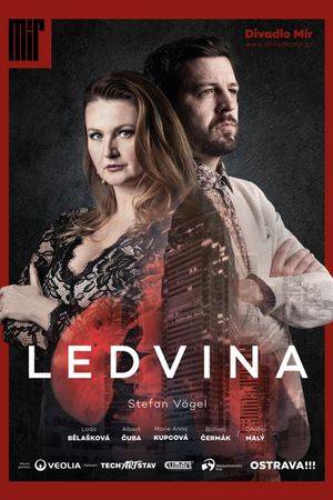 Ledvina's poster