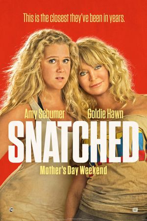 Snatched's poster