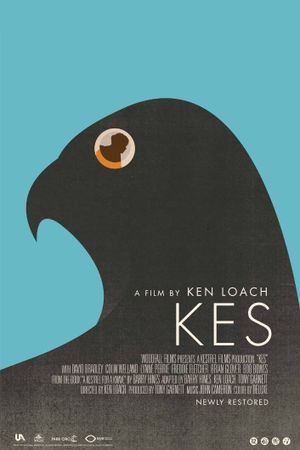 Kes's poster