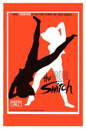 The Big Switch's poster