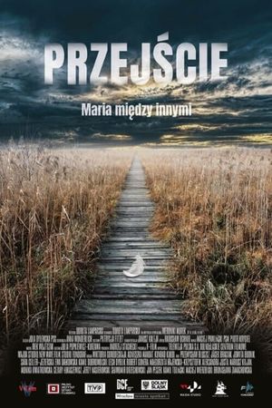 The Passage's poster