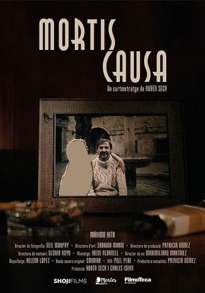 Mortis causa's poster