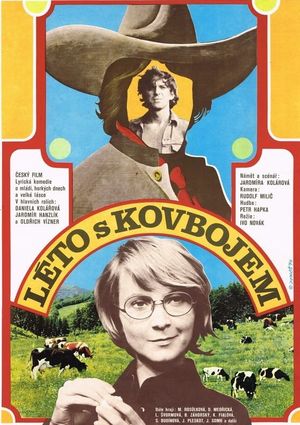 Summer with a Cowboy's poster
