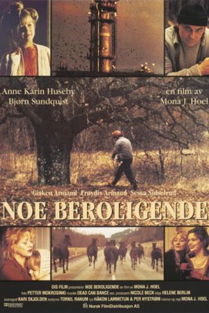Noe beroligende's poster