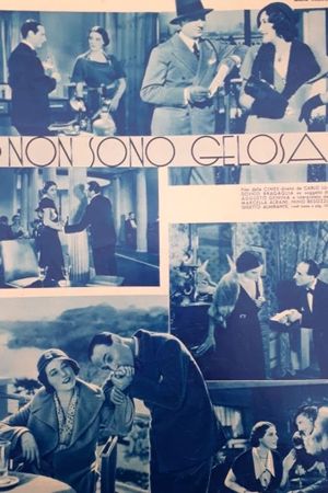 Non sono gelosa's poster