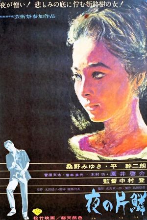 The Shape of Night's poster