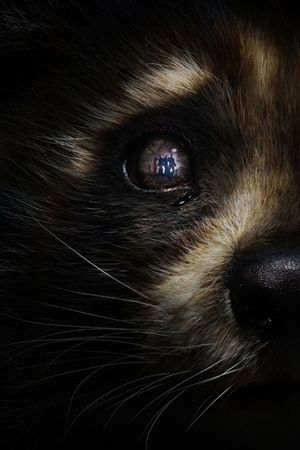 Guardians of the Galaxy Vol. 3's poster