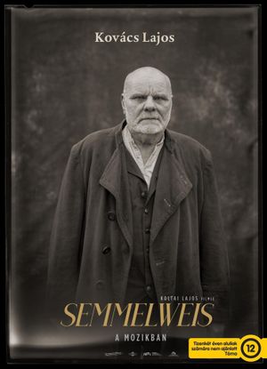 Semmelweis's poster