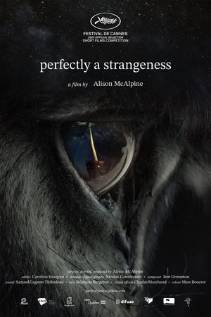 Perfectly A Strangeness's poster