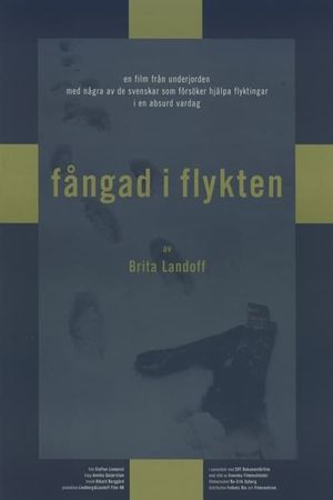 Fångad i flykten's poster