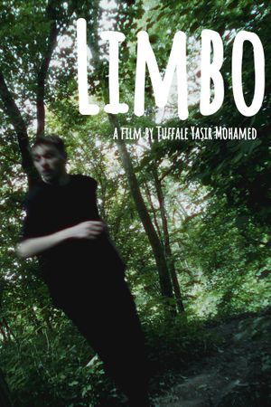 Limbo's poster
