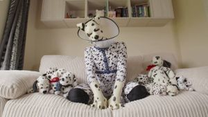 Secret Life of the Human Pups's poster