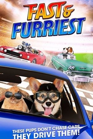 Fast and Furriest's poster