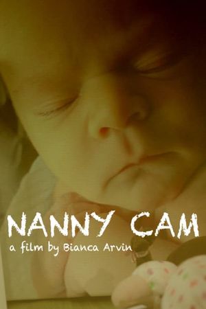 Nanny Cam's poster